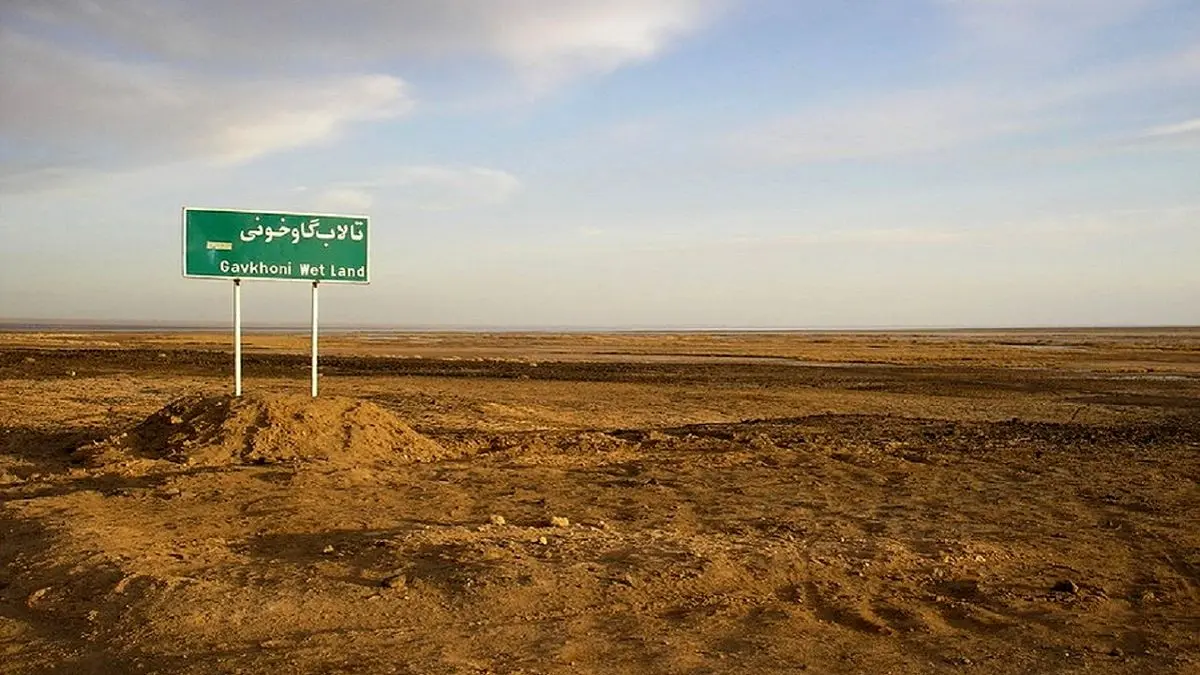خون گاوخونی در شیشه خشکسالی