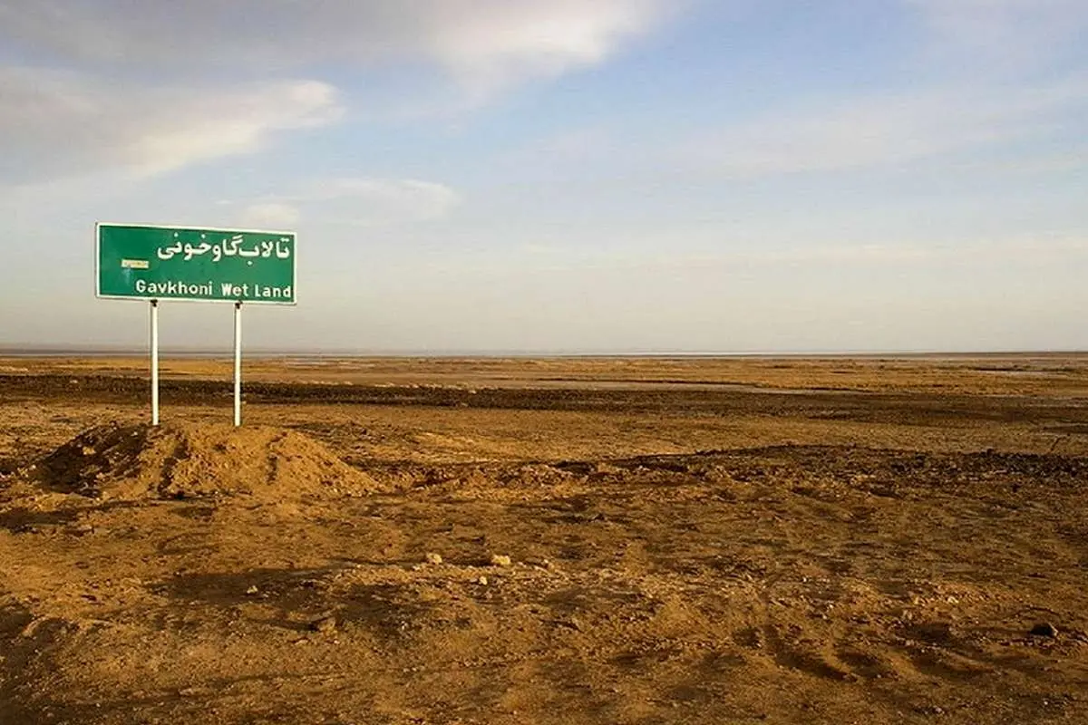 خون گاوخونی در شیشه خشکسالی