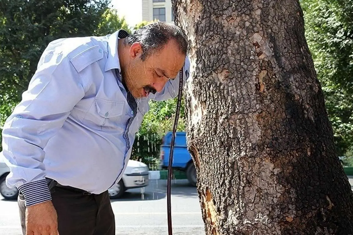 تعطیلی ادارات شهرستان دهلران به علت گرمای بالای ۵۱ درجه