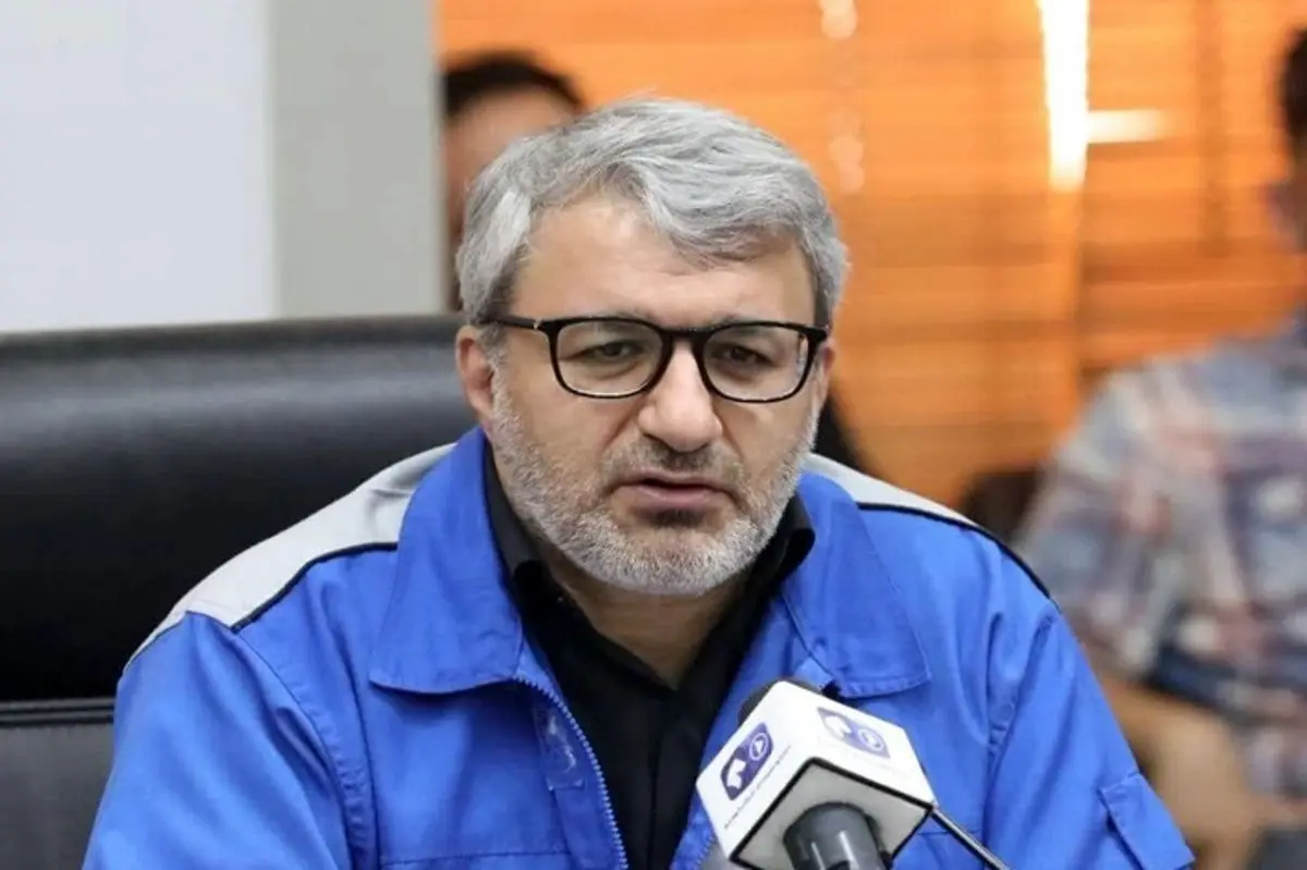 ایران خودرو: از تولید هر ۲۰۶ حدود ۴۵ میلیون ضرر می‌کنیم
