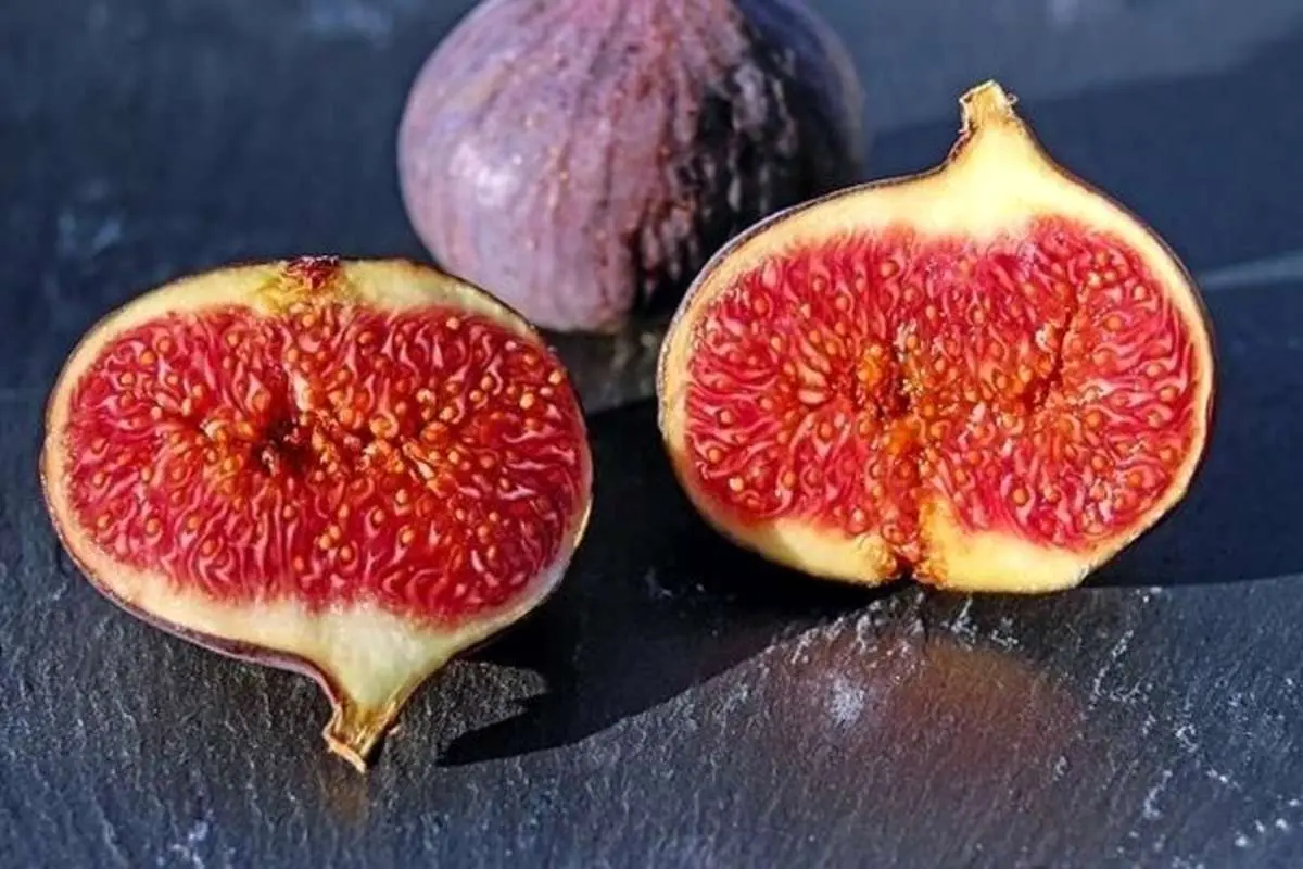 خواص شگفتانگیز انجیر