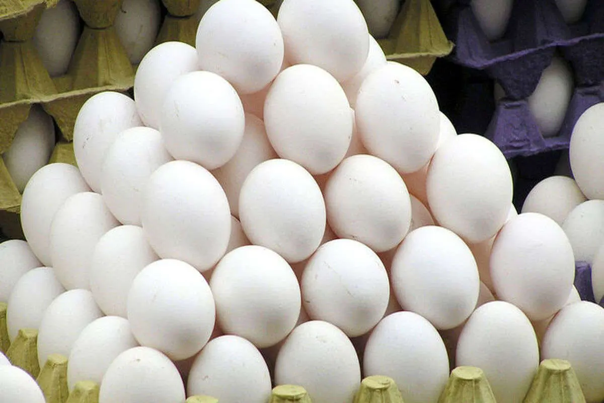 رئیس اتحادیه فروشندگان مرغ و ماهی: نرخ مرغ کاهشی شد