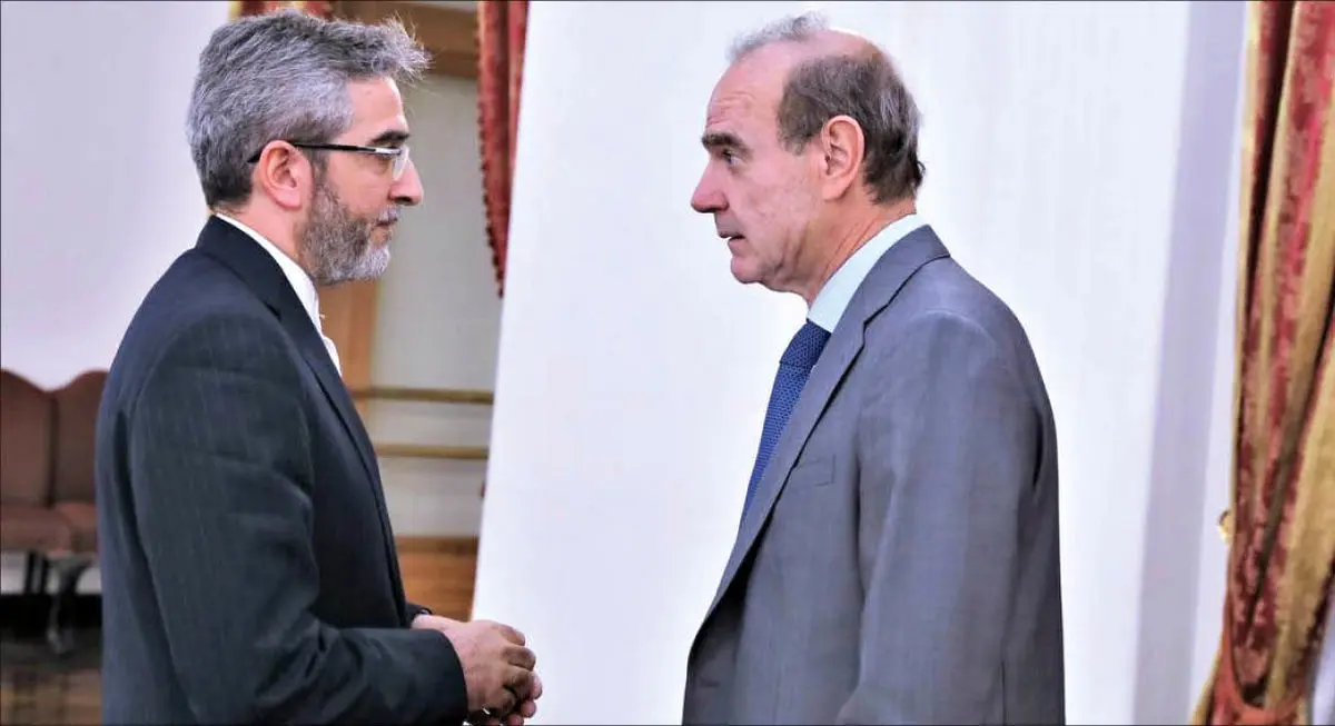 سفر مورا و باقری به وین برای ادامه مذاکرات