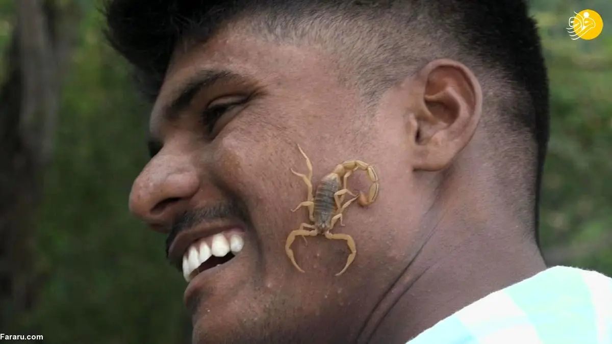 (ویدئو) چرا هندو‌ها عقرب‌های زنده روی صورت و زبان خود می‌گذارند!