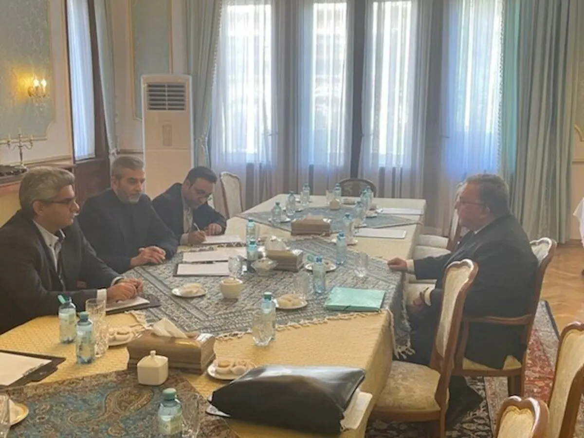 اولیانوف: دیدار پرثمری با هیات مذاکره‌کننده ایرانی در وین داشتم