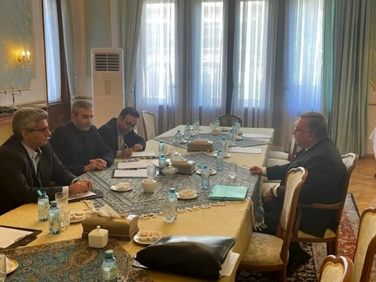 اولیانوف: دیدار پرثمری با هیات مذاکره‌کننده ایرانی در وین داشتم