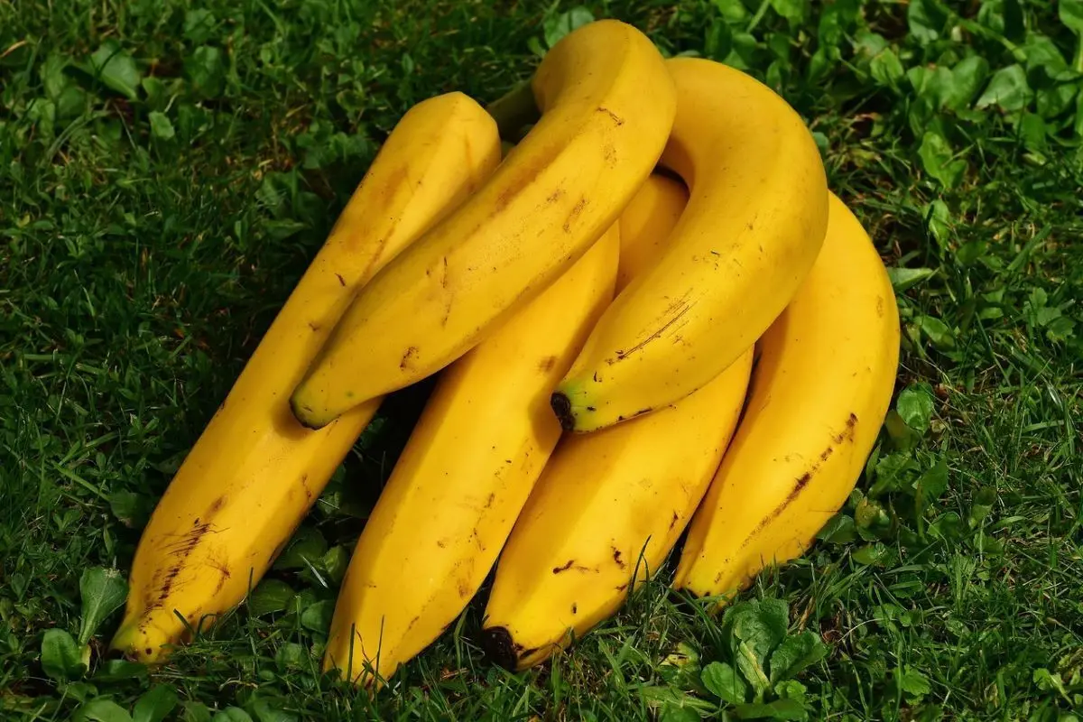 کاهش خطر برخی سرطان‌های ارثی با مصرف روزانه موز