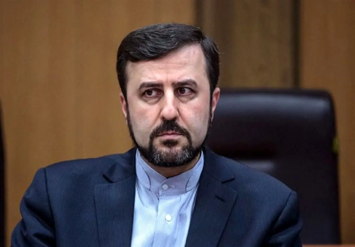 غریب‌آبادی:‌ ۴هزار زندانی در دیگر کشورها داریم