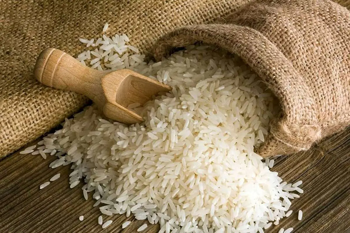 کاهش قیمت برنج در استان‌های شمالی؛ برنج ایرانی چند شد؟