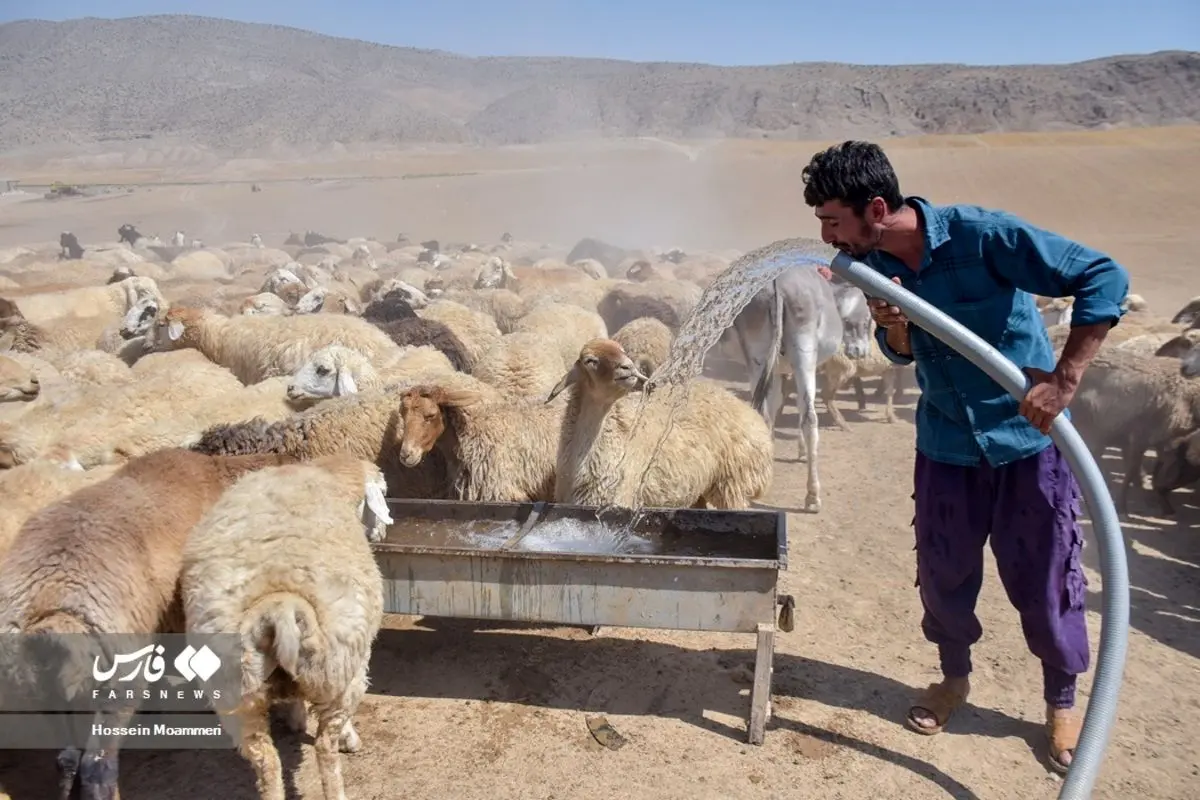 (تصاویر) آبرسانی به عشایر خراسان شمالی