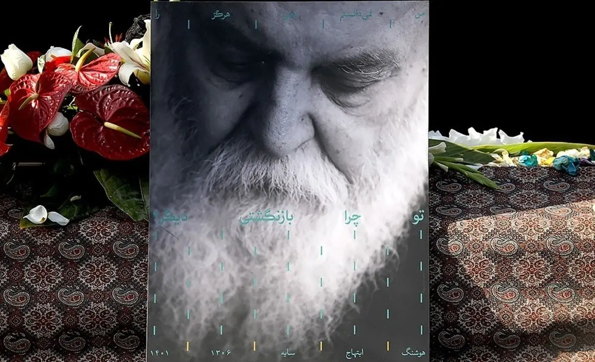 (ویدئو) شعرخوانی دختر ۱۲ ساله برای «سایه»