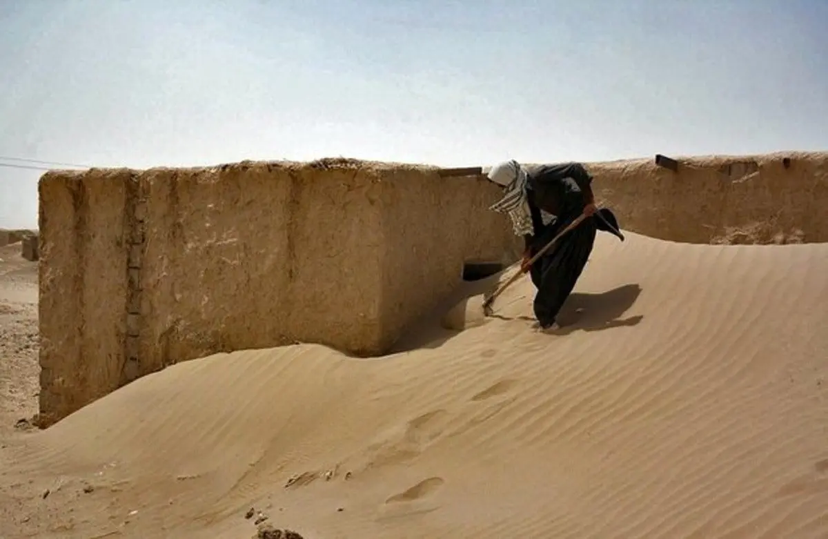 واکنش محیط‌زیست به ویدئوی مدفون شدن گوسفندان در شن‌های روان
