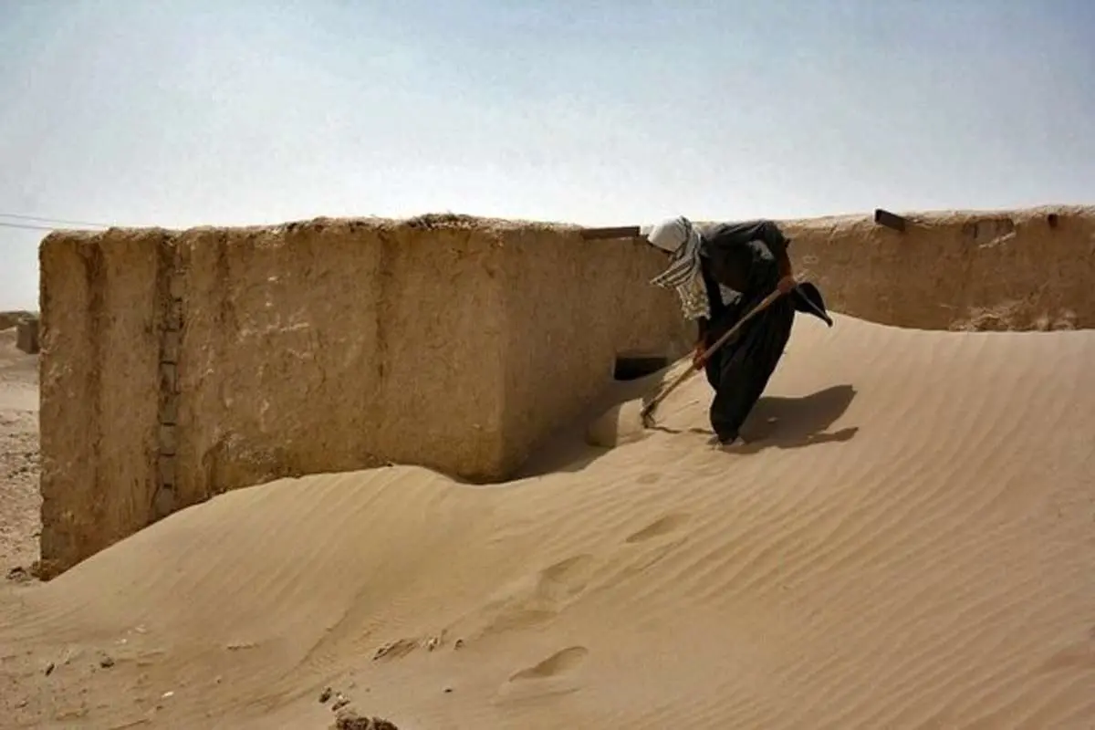 واکنش محیطزیست به ویدئوی مدفون شدن گوسفندان در شنهای روان