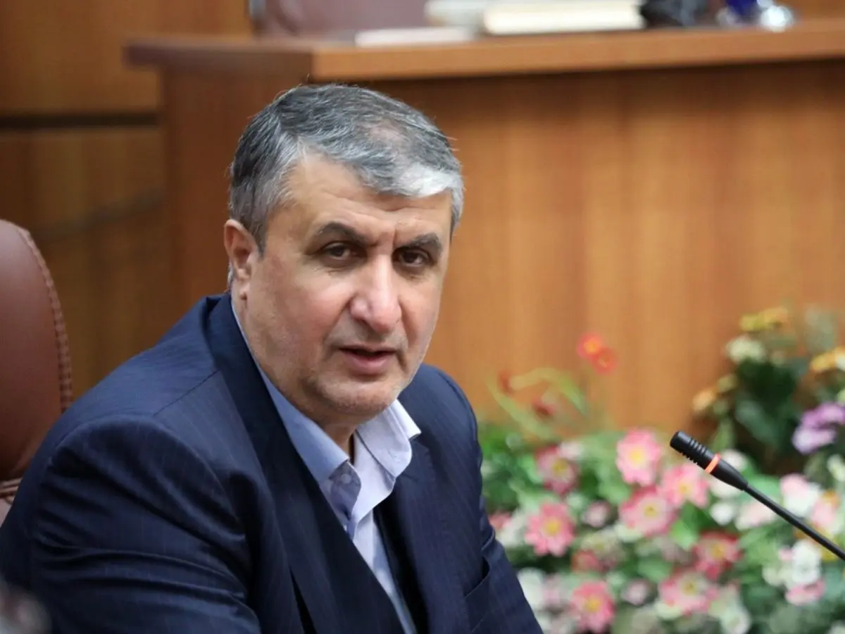 رئیس سازمان انرژی اتمی: فرانسه بیش‌ترین مزاحمت را در مذاکرات داشته