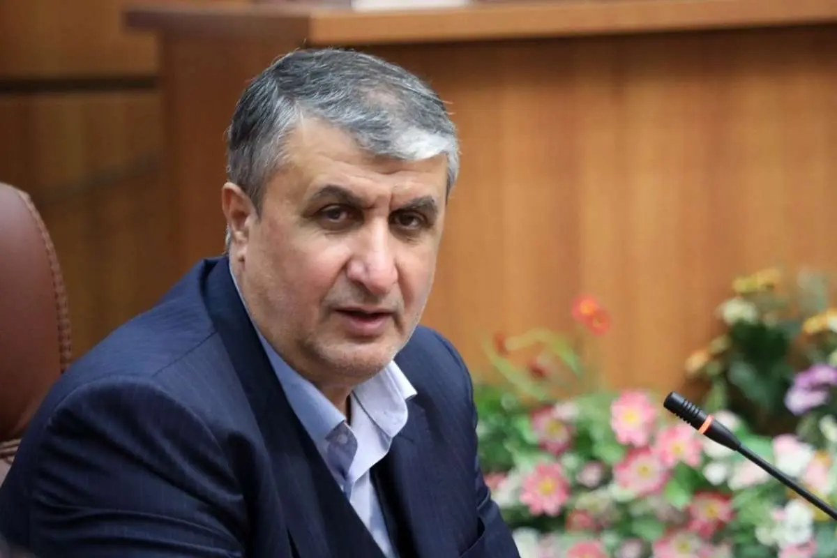 رئیس سازمان انرژی اتمی: فرانسه بیشترین مزاحمت را در مذاکرات داشته