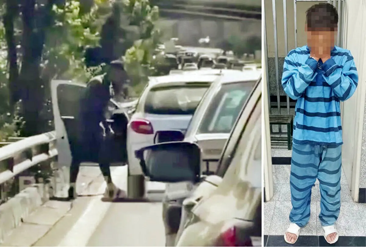 (ویدئو) دادستان تهران: کیفرخواست زورگیر اتوبان نیایش با اتهام محاربه صادر شد