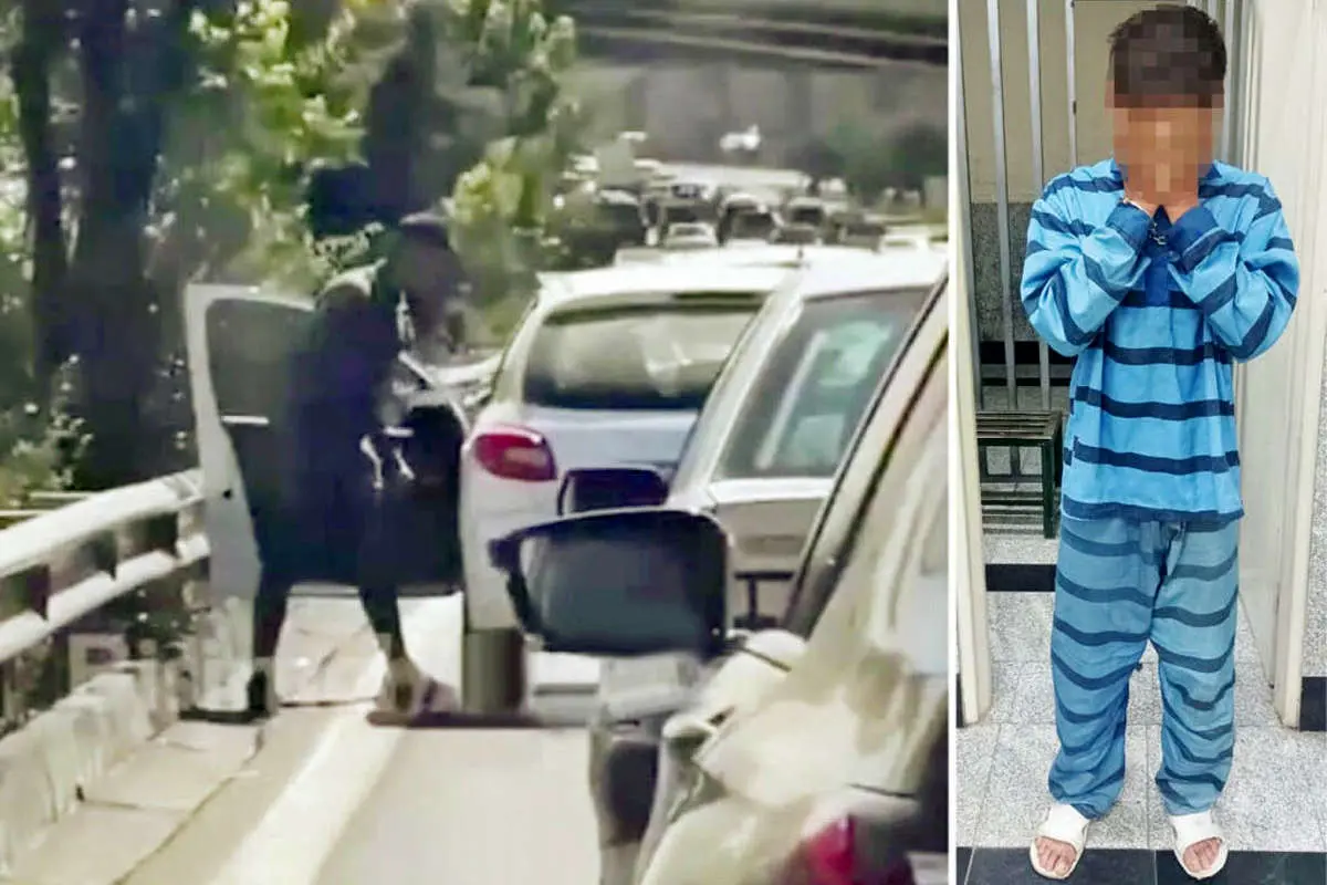 (ویدئو) دادستان تهران: کیفرخواست زورگیر اتوبان نیایش با اتهام محاربه صادر شد