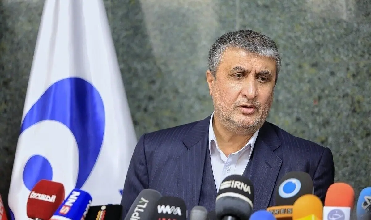 اسلامی: ۲۵ درصد بازرسی‌های اتمی جهان در ایران انجام شده است