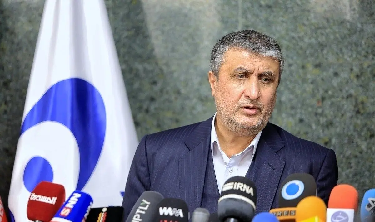 اسلامی: ۲۵ درصد بازرسی‌های اتمی جهان در ایران انجام شده است