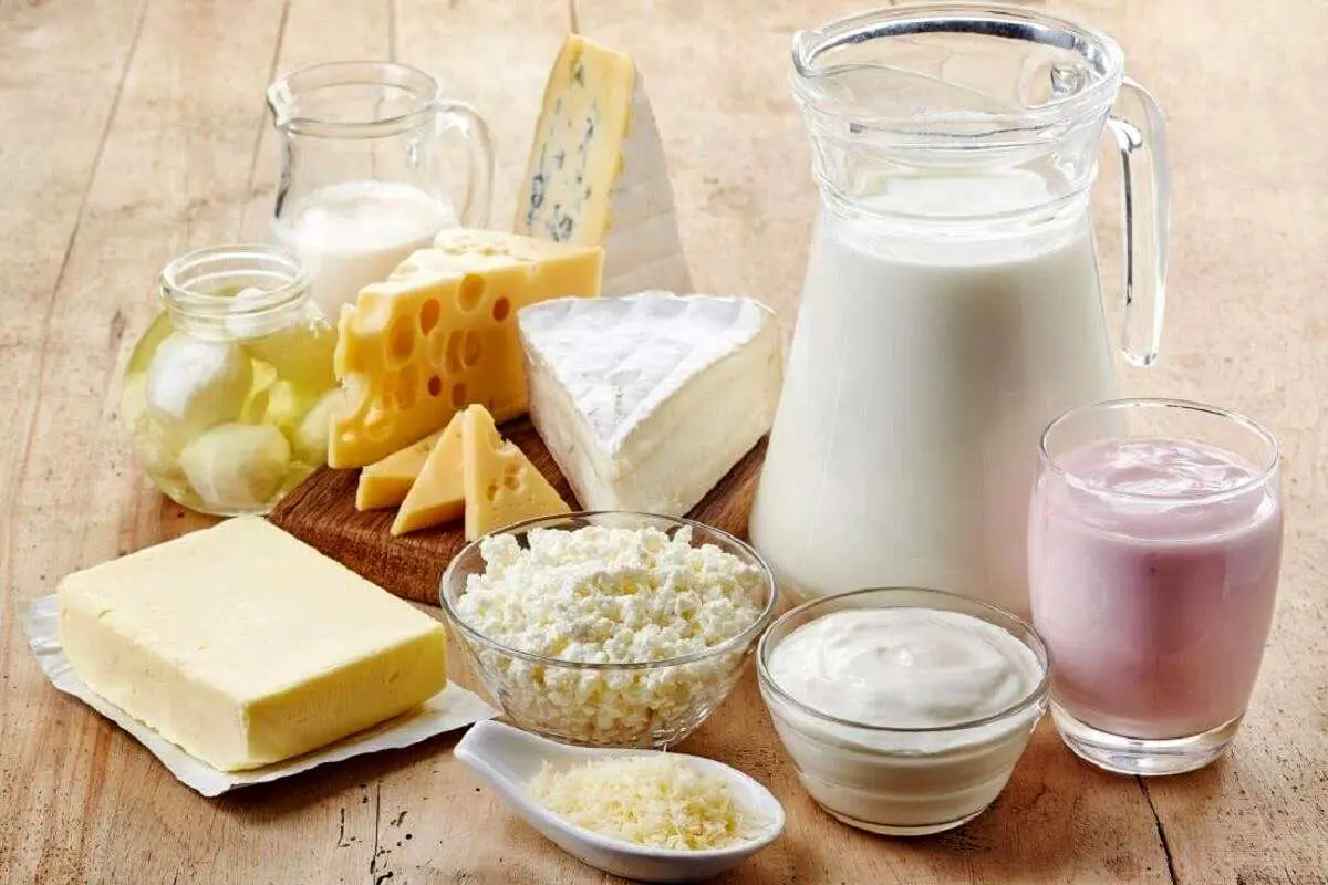 لبنیات پرچرب یا کمچرب؛ کدام بهترند؟