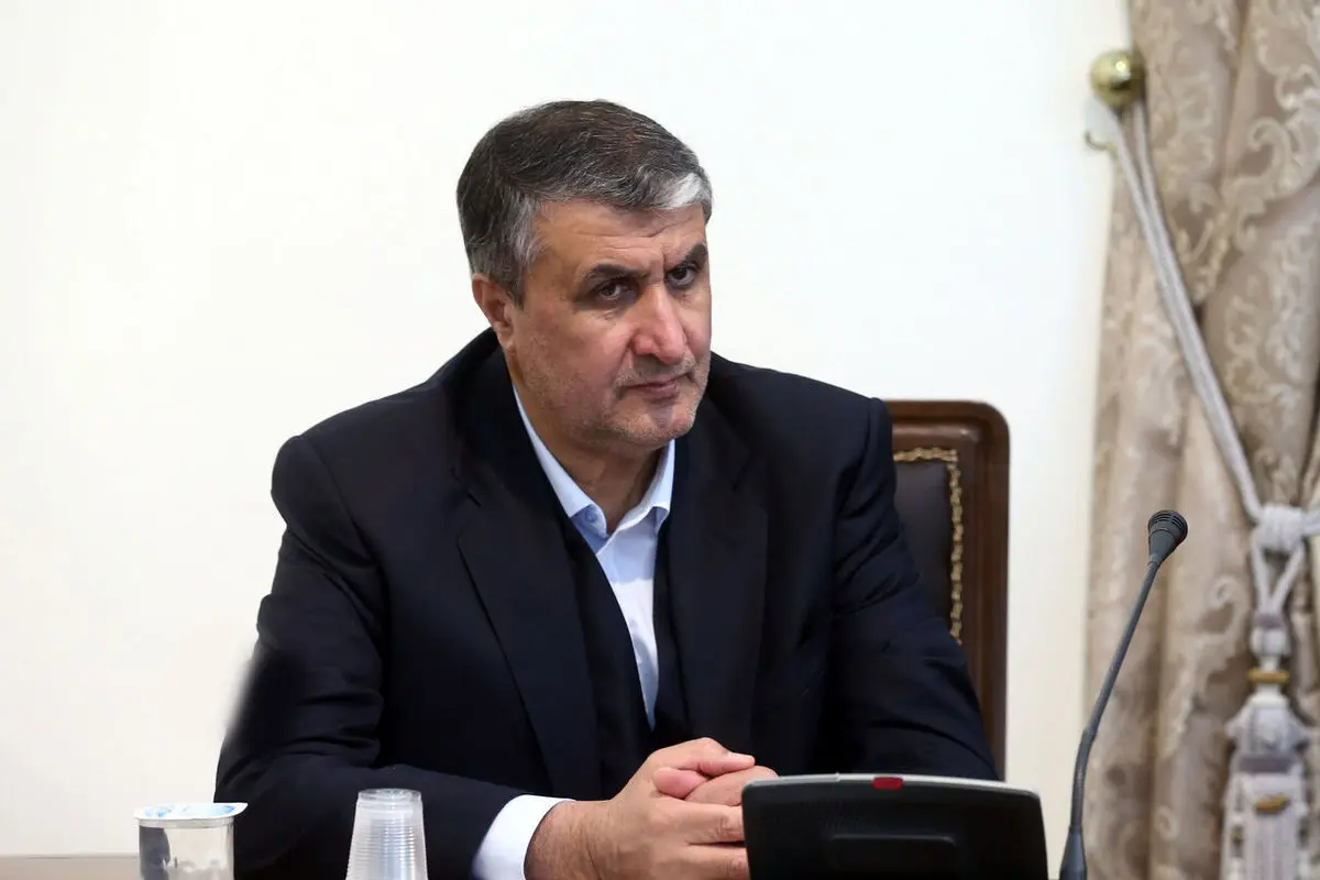 واکنش رئیس سازمان انرژی اتمی به سخنان رافائل گروسی