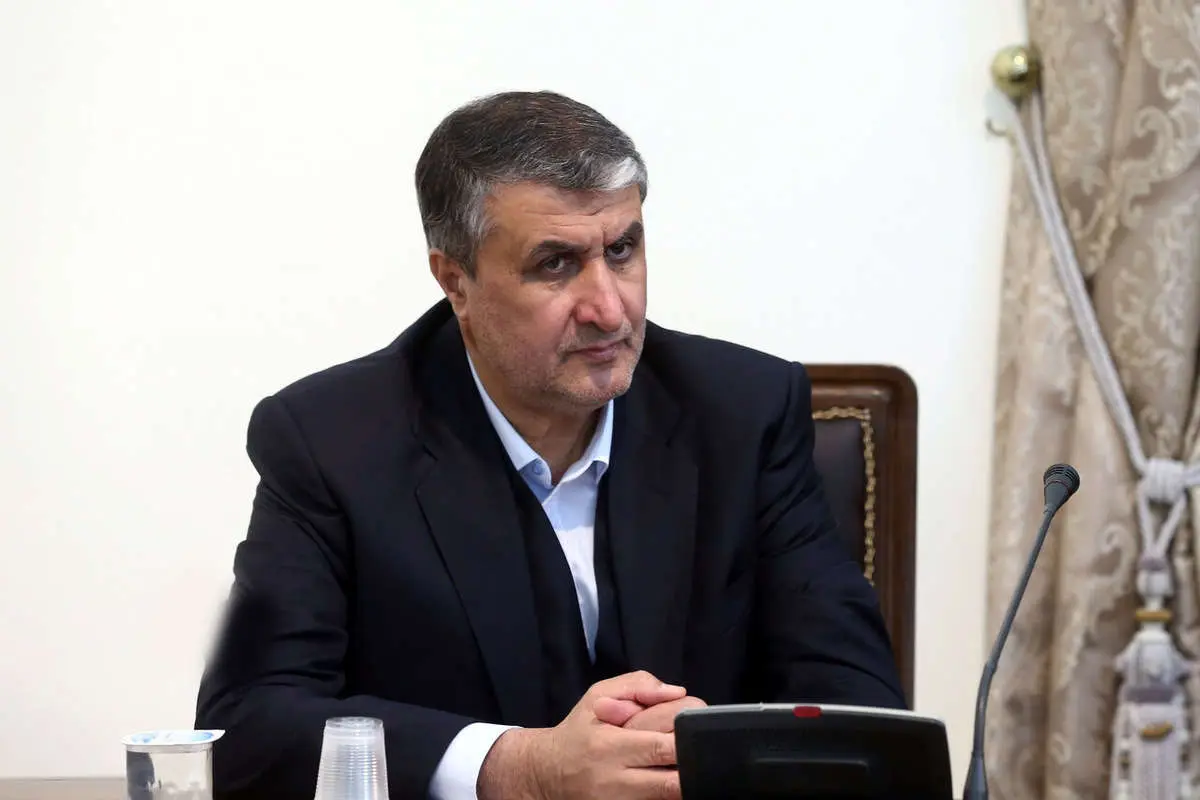 واکنش رئیس سازمان انرژی اتمی به سخنان رافائل گروسی