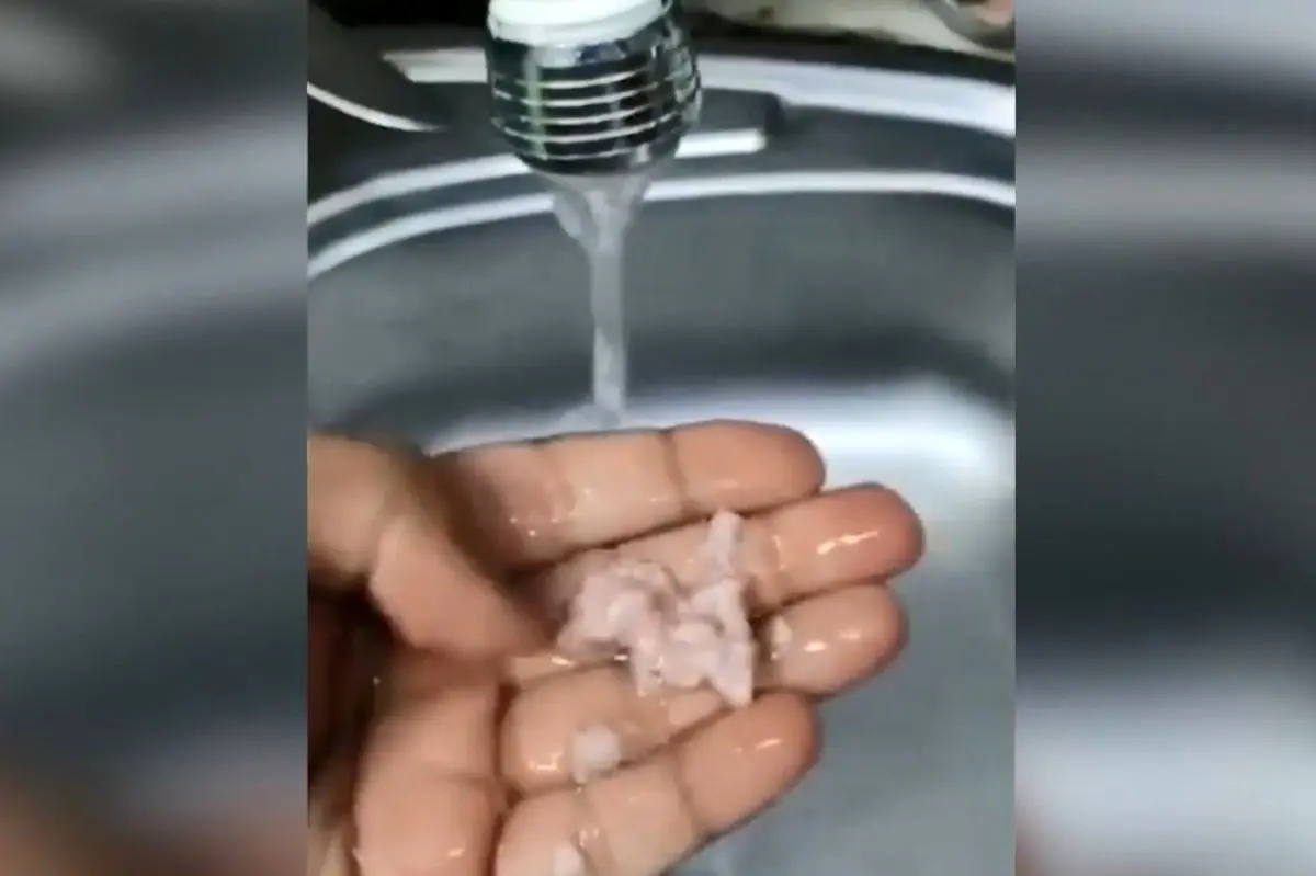 (ویدئو) ماجرای سفید شدن گوشت چرخ کرده فروشگاه شهروند
