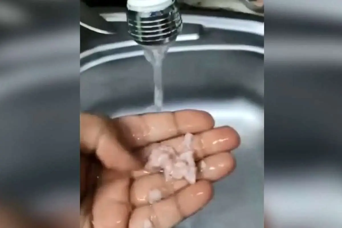(ویدئو) ماجرای سفید شدن گوشت چرخ کرده فروشگاه شهروند