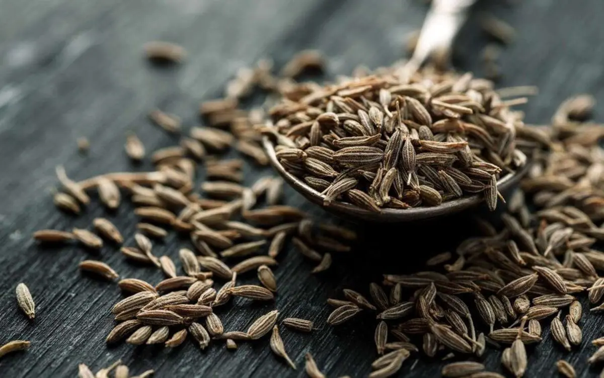با مصرف این ادویه حافظه خود را تقویت کنید