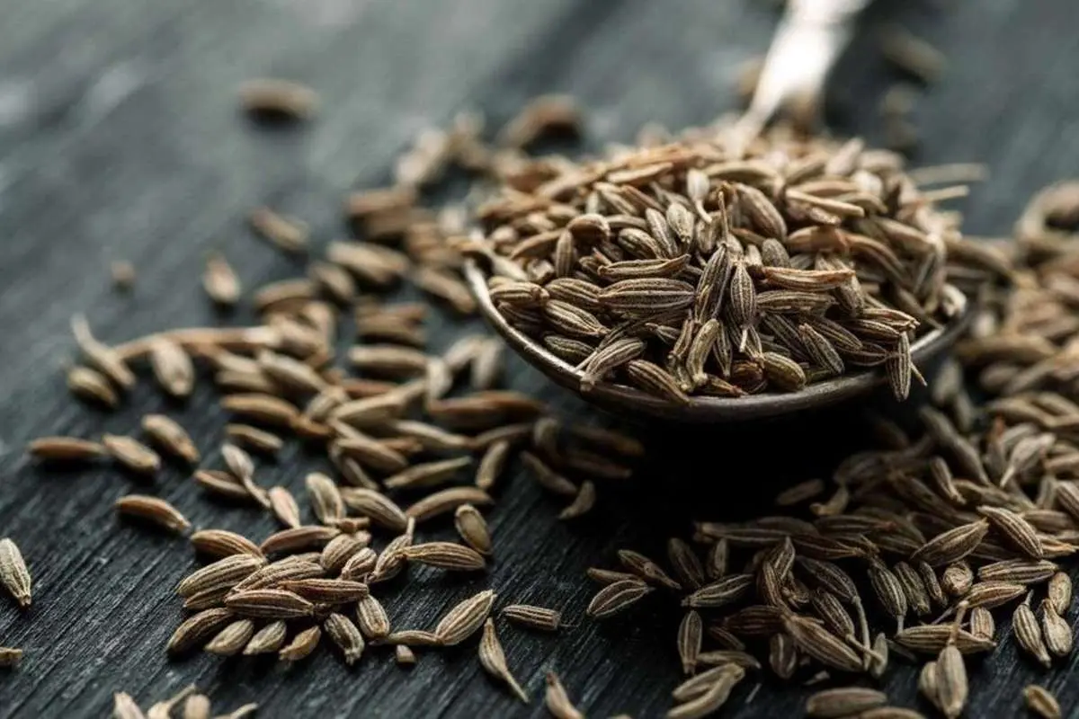 با مصرف این ادویه حافظه خود را تقویت کنید