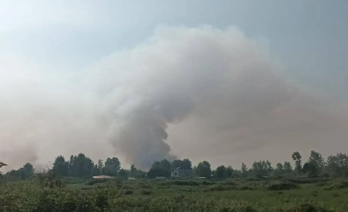 تالاب انزلی دچار آتش‌سوزی شد