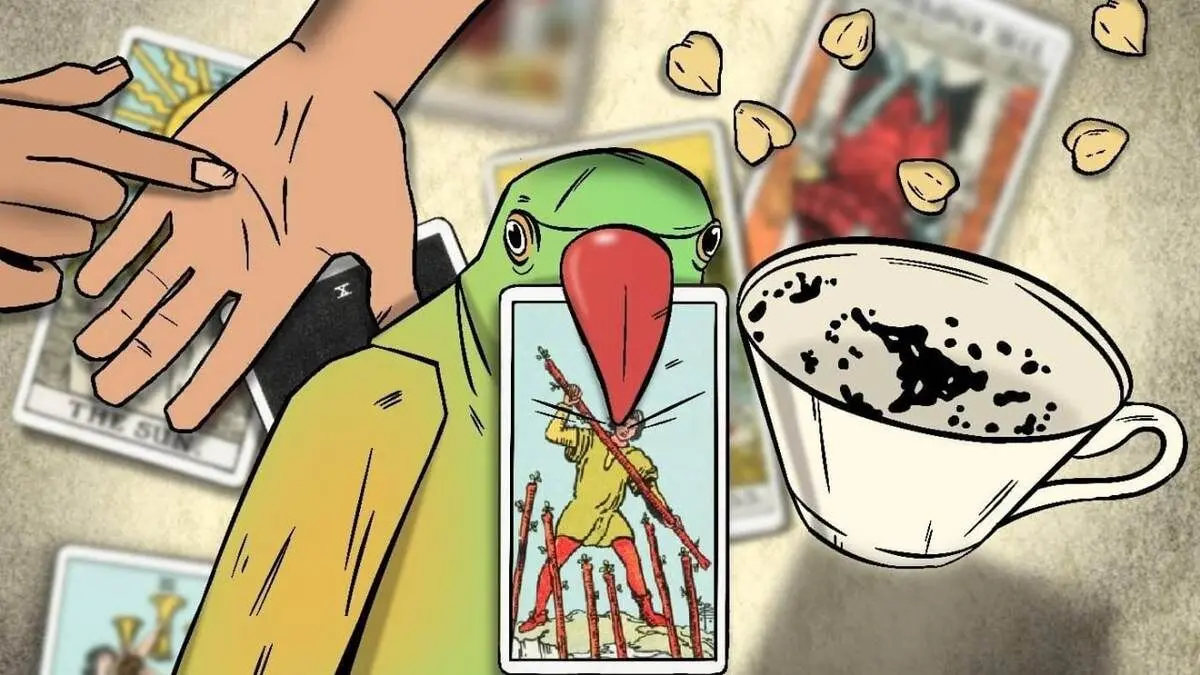 نخود، طوطی و حافظ: چگونه در خاورمیانه فال می‌گیرند؟