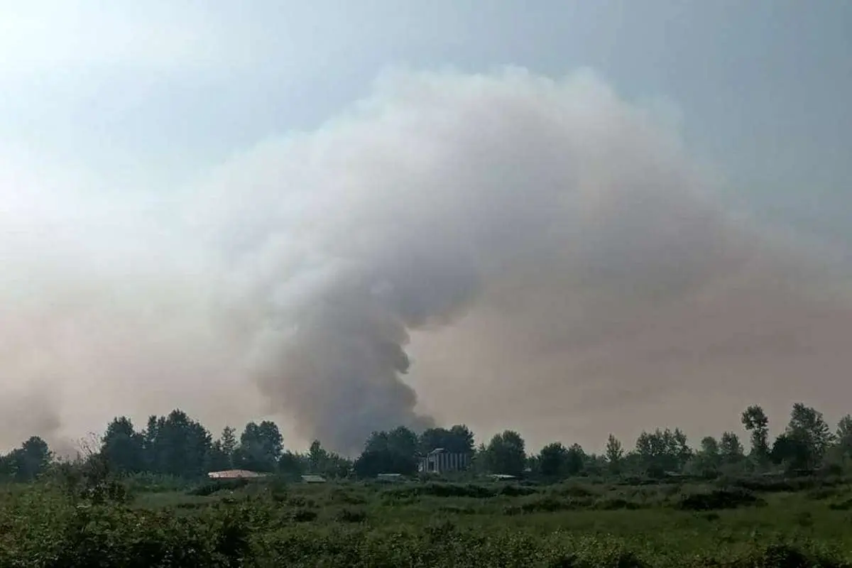 (ویدئو) دستگیری ۴ متهم در حادثه آتشسوزی تالاب بندر انزلی