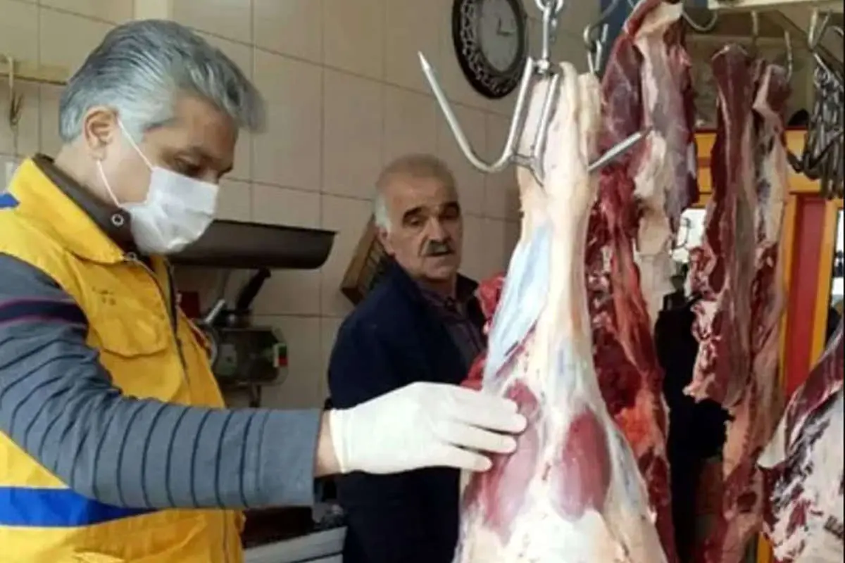 رئیس سازمان نظام دامپزشکی: حجم تخلف فروش گوشت الاغ و اسب نگران کننده نیست