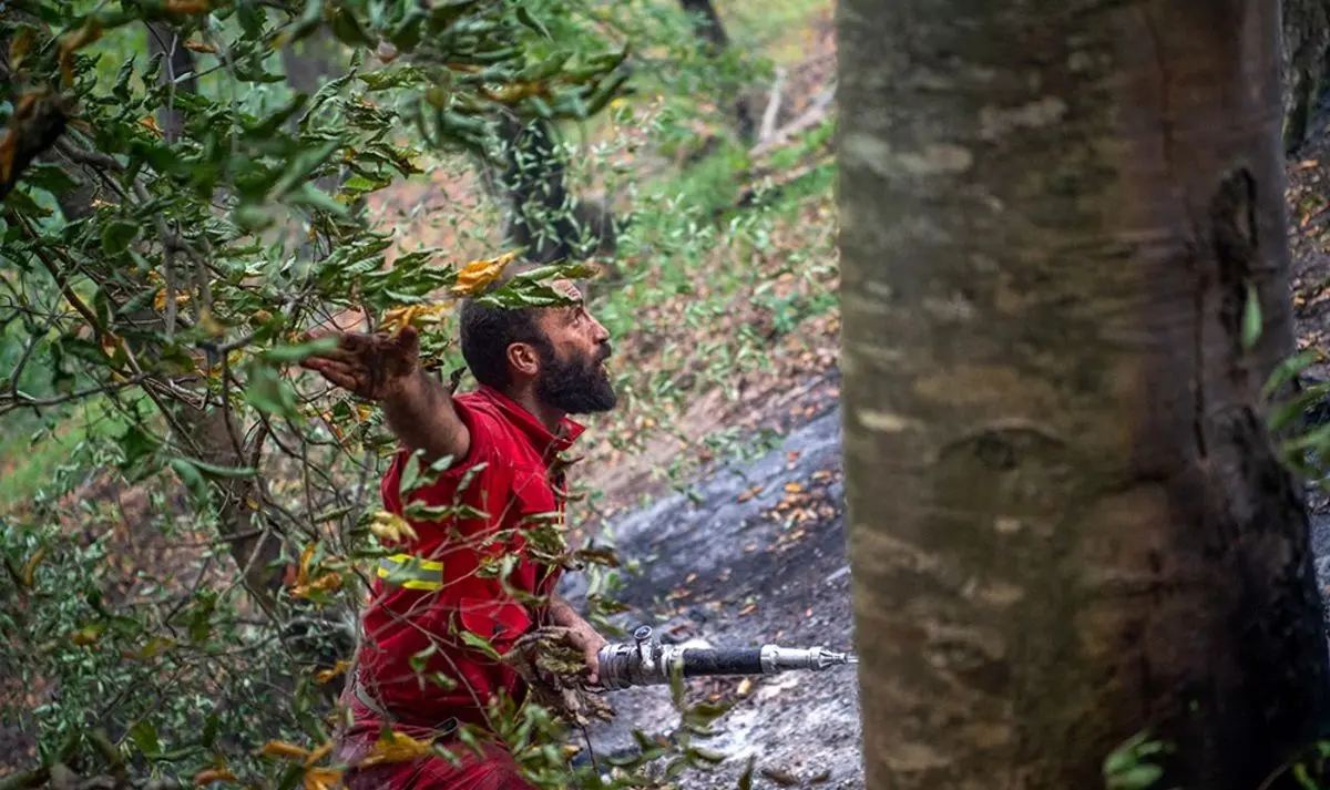 (تصاویر) مهار آتش در جنگل‌های هفت‌خال چهاردانگه ساری