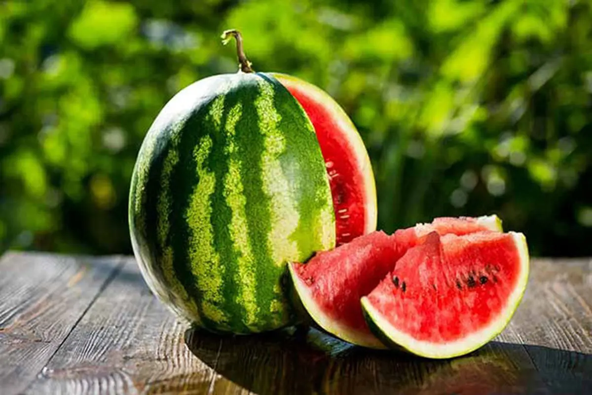 کدام غذا‌ها بدن را از کم‌آبی نجات می‌دهند؟