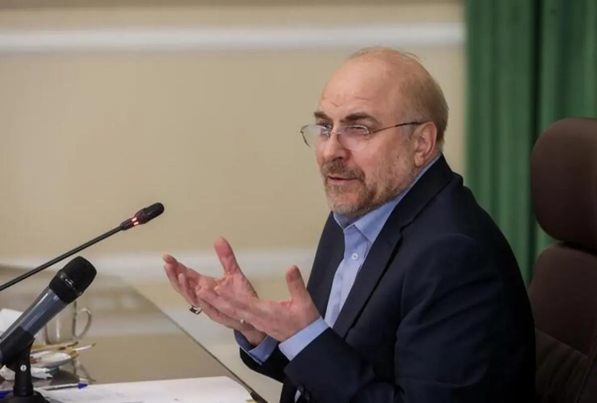 مجلس موضوع «مهسا امینی» را تا اصلاح ساختارها رسیدگی می‌کند