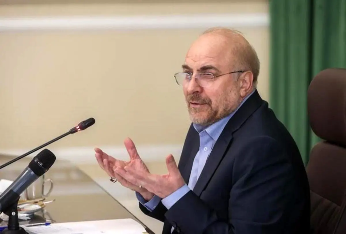 مجلس موضوع «مهسا امینی» را تا اصلاح ساختارها رسیدگی می‌کند