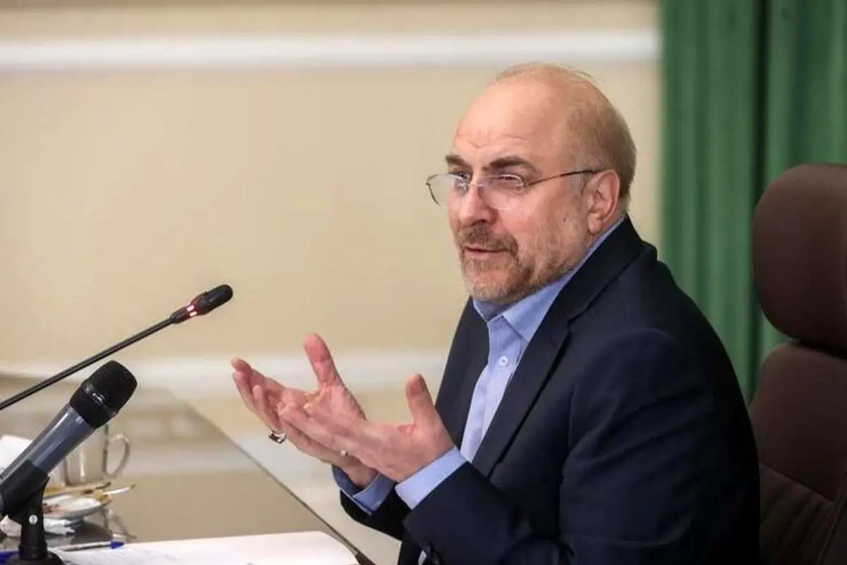 مجلس موضوع «مهسا امینی» را تا اصلاح ساختارها رسیدگی میکند