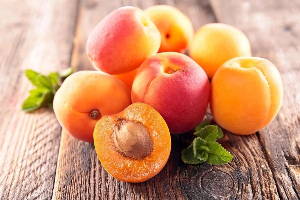 فواید شگفت‌انگیز زردآلو از کمک به هضم غذا تا محافظت از پوست