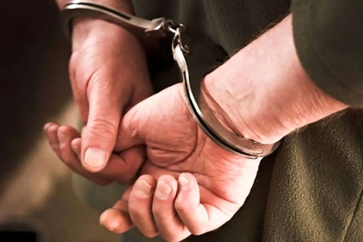 دستگیری قاچاقچیان چوب و متهمان حمله به نگهبان منابع طبیعی چمستان