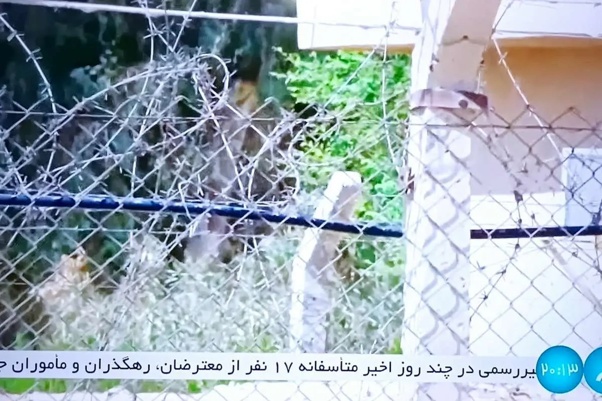 صداوسیما: تاکنون ۱۷ نفر در اعتراضات جان باختهاند