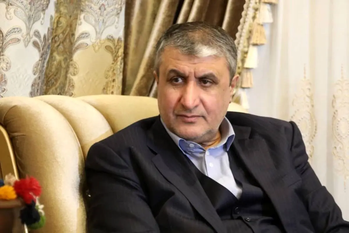 اسلامی: در وین با گروسی دیدار می‌کنم