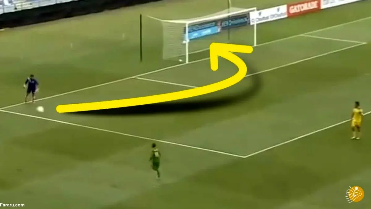 گل‌هایی که قوانین فیزیک را نقض می‌کند!