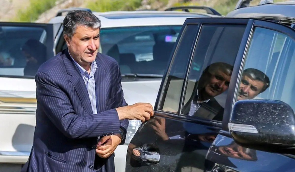 رییس سازمان انرژی اتمی وارد وین شد