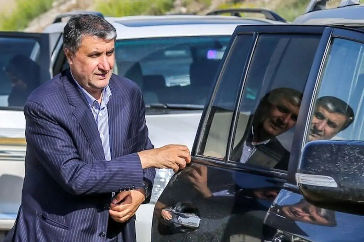 رییس سازمان انرژی اتمی وارد وین شد