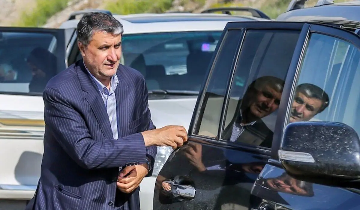 رییس سازمان انرژی اتمی وارد وین شد