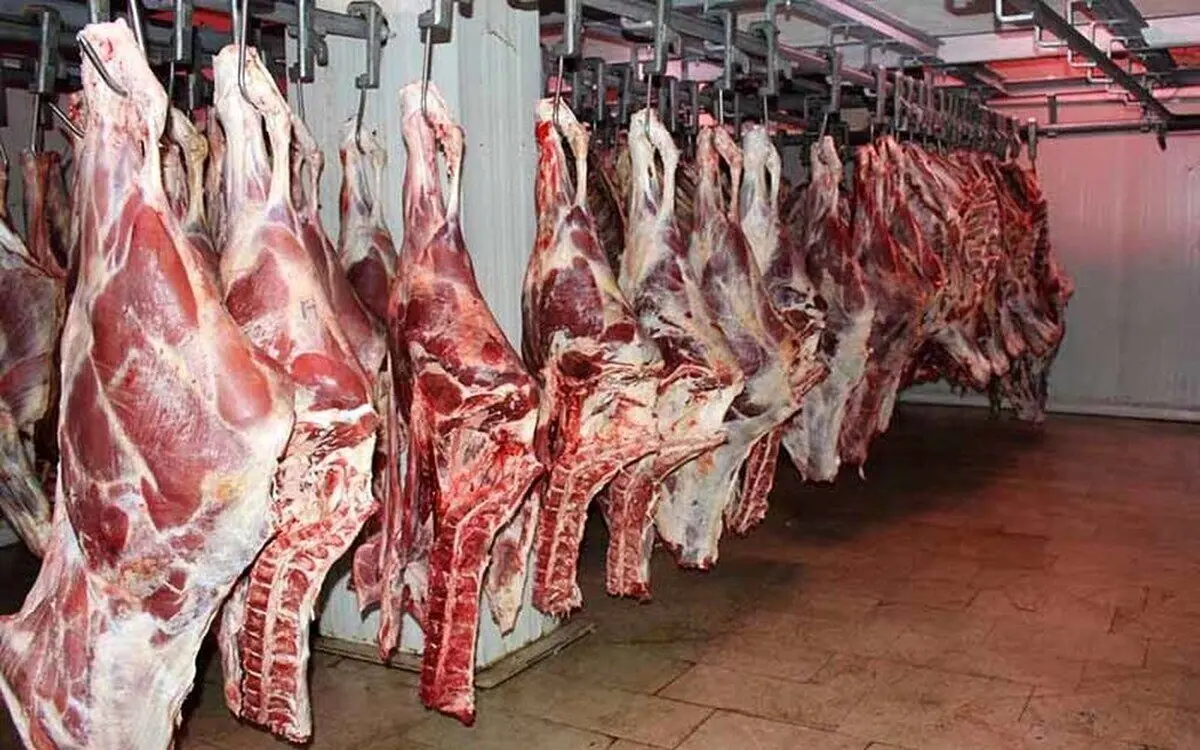 گوشت‌های کشتارگاه کرمان با آب فاضلاب شسته می‌شوند؟