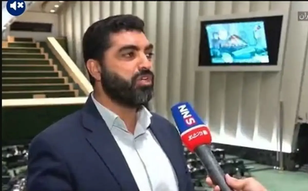 نماینده مجلس: در برخی کشور‌ها برای جلوگیری از مهاجرت سلبریتی‌ها، اموال آنها در رهن دولت قرار می‌گیرد