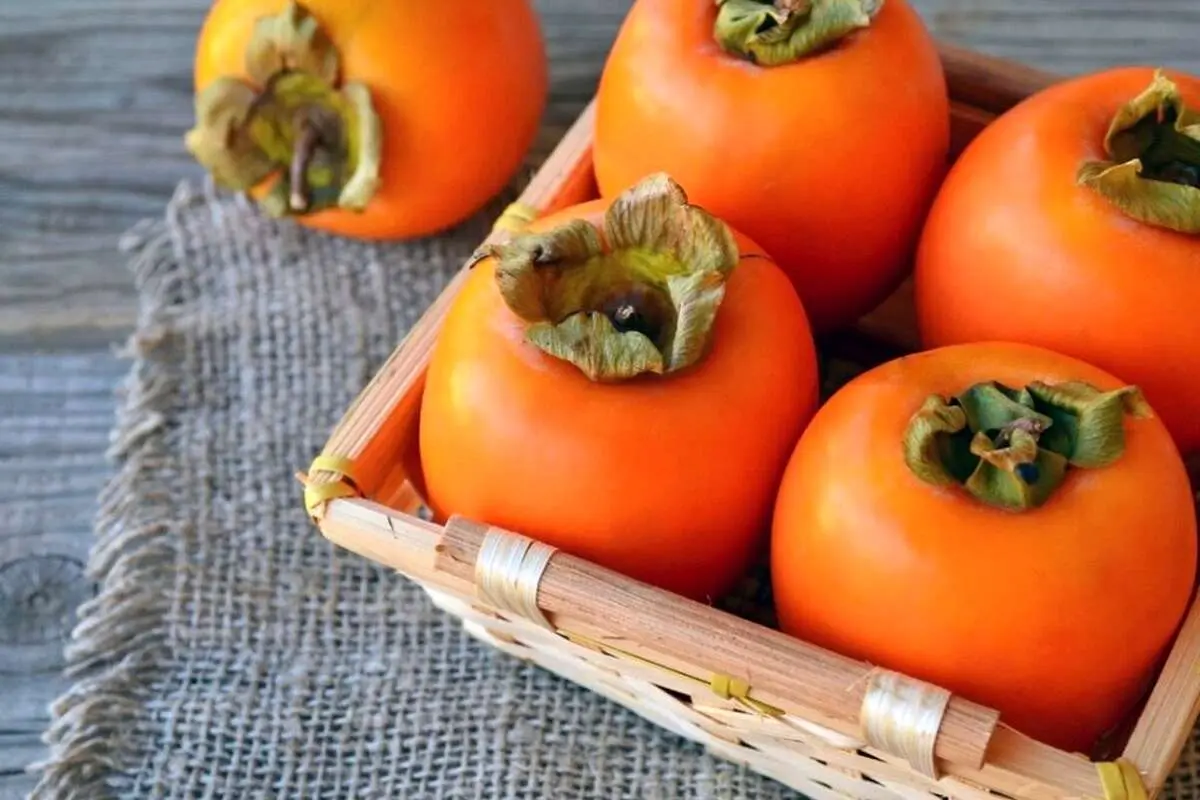 خرمالو بخوریم تا سرما نخوریم